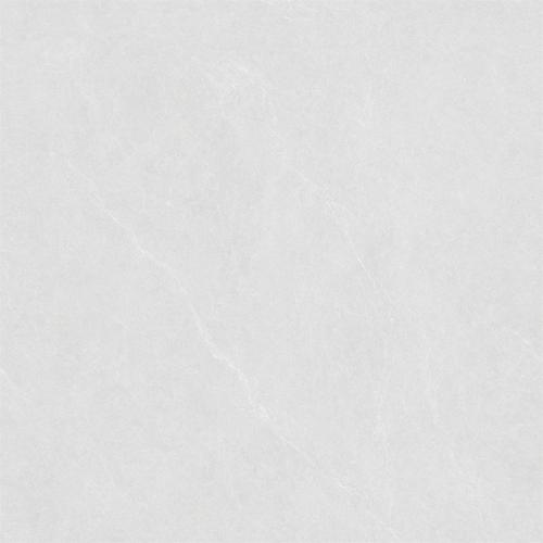 GMP88690-維羅娜-04